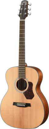 Walden WAO550EW Orchestra (EQ + Tasche) – 1
