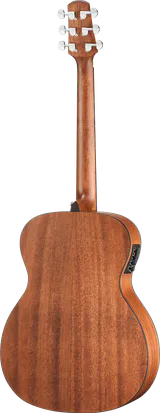 Walden WAO550EW Orchestra (EQ + Tasche) – 2